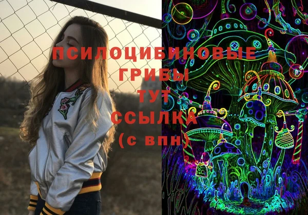 СК Абдулино