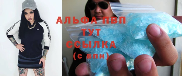 дживик Абаза