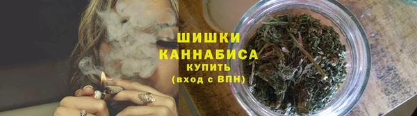 дживик Абаза