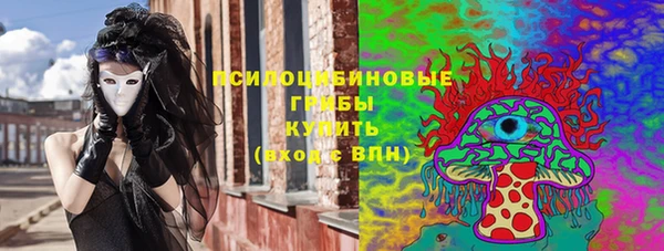 дживик Абаза